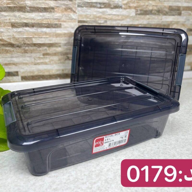 باکس درب قفلی فولی لایف ترکیه 2800 میلی لیتری Royal کد 0179 - تصویر 4