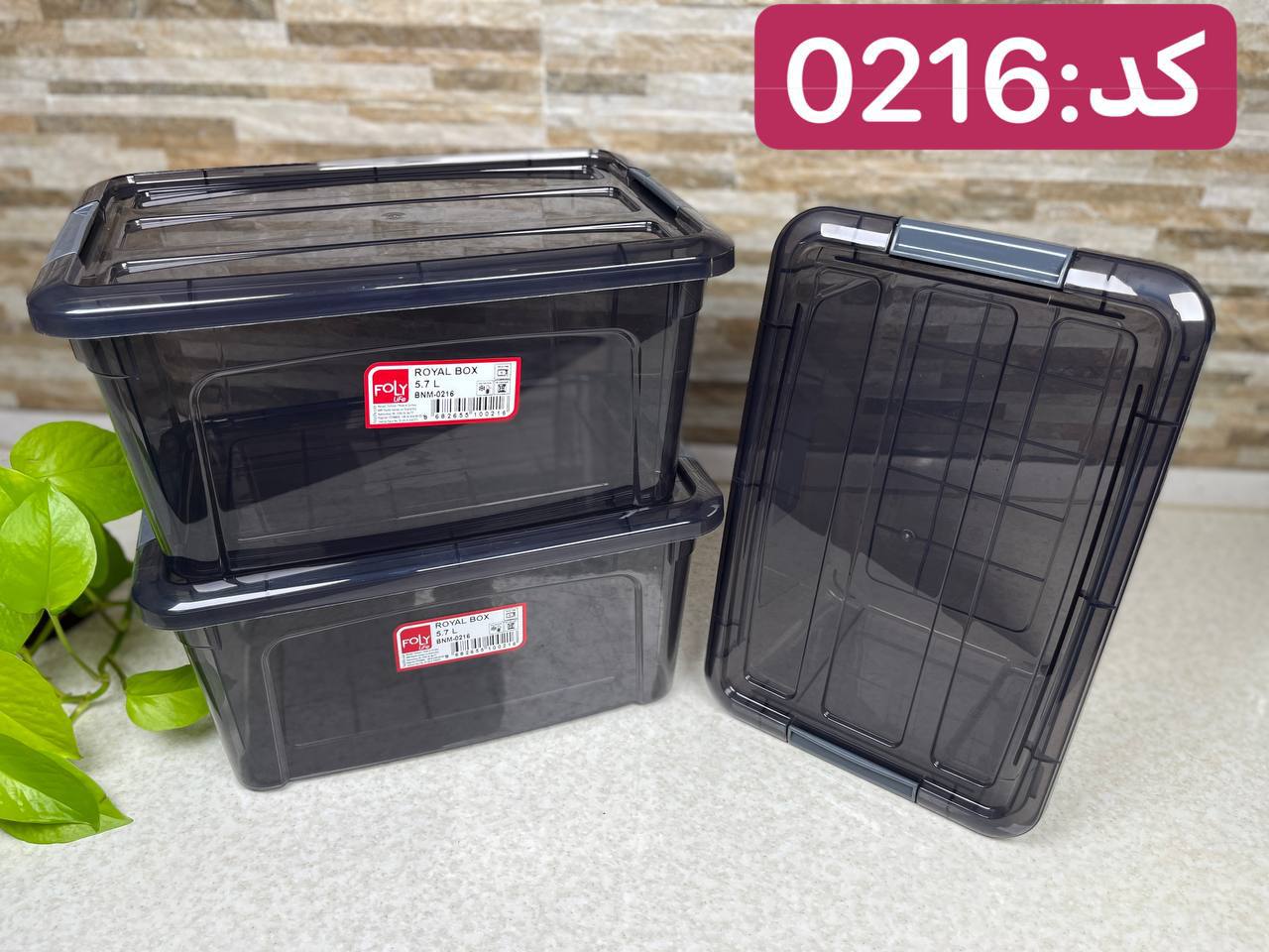 0216-1.jpg باکس درب قفلی فولی لایف 5.7 لیتری Royal کد 0216 - تصویر 5