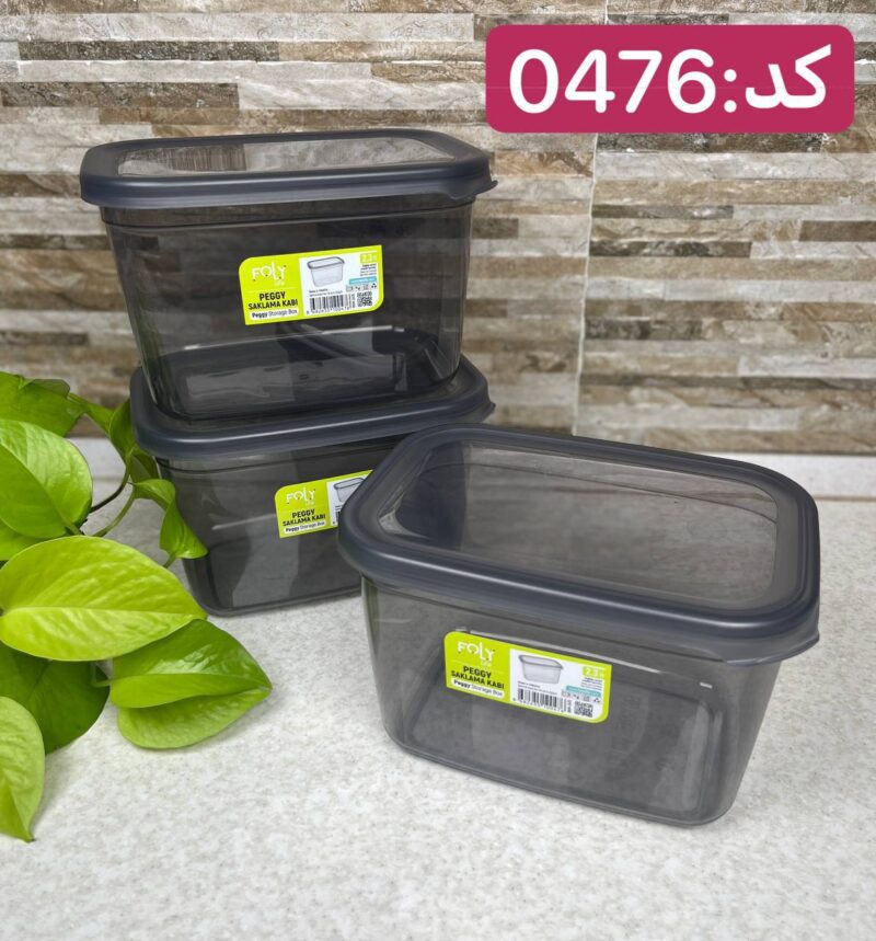 بانکه مستطیلی فولی لایف ترکیه 2300 میلی لیتری کد PEGGY DIK 0476