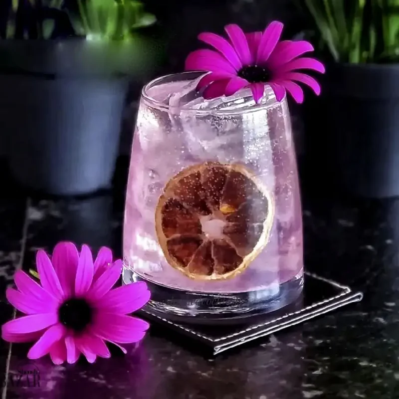 لیوان پاشاباغچه 390 سی سی 4 عدد مدل پینوت کد PINOT-420742