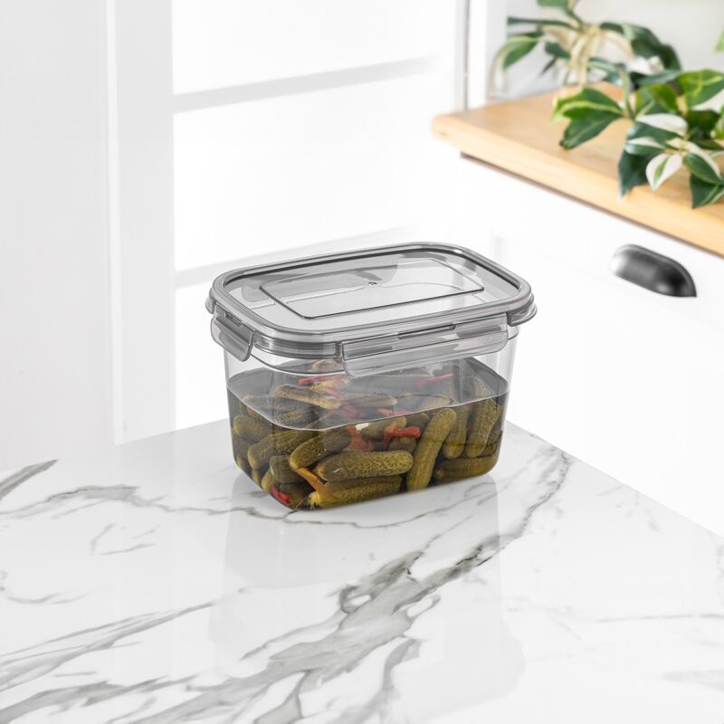 بانکه درب قفلدار ضدنشتی فولی لایف 2300 میلی لیتری رنگ دودی (tesny) کد 8113