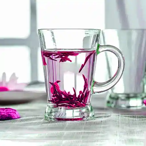 KTZB97-1.webp لیوان هیبلی بلینک مکس 165میلی لیتر 6 عدد کد KTZB97 - تصویر 1